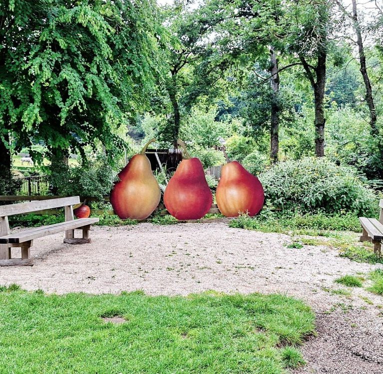 13062025-12062025-20250612_193127