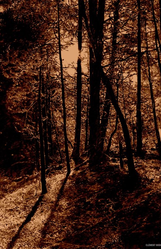 clement bodot foret auvergne
